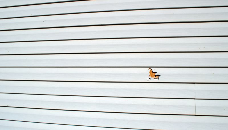 Siding Material Options