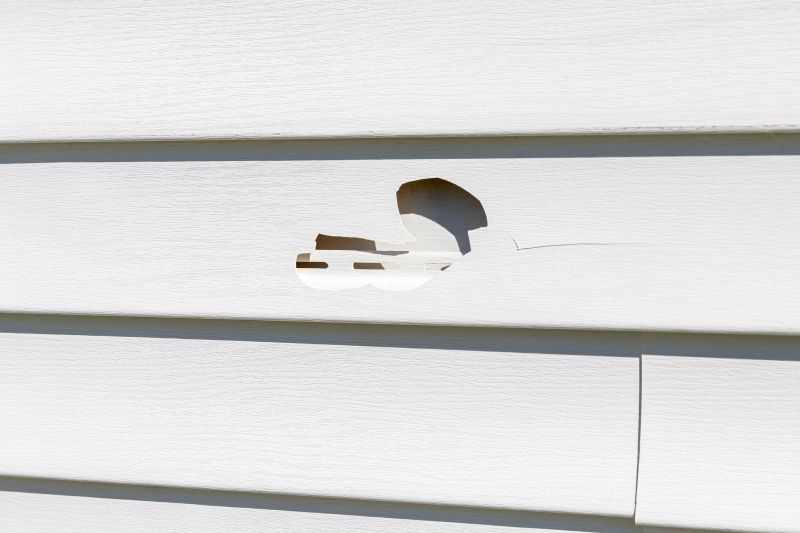 Close-up of Damaged Siding